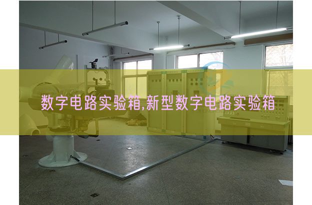 数字电路尝试箱,新型数字电路尝试箱(图1)